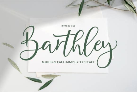 Barthley: An Elegant Script Font for Thoughtful Branding