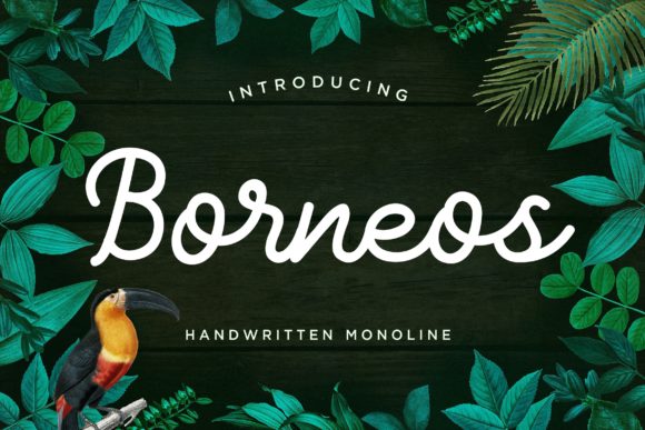 Borneos: A Handwritten Font That Makes Your Brand Feel Thoughtful & Polished