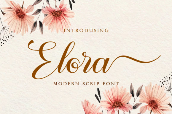 Elora: A Handwritten Font That Elevates Campaign Visuals