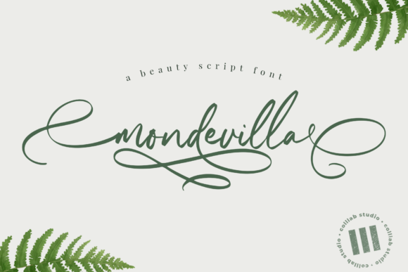 Mondevilla: A Premium Script Font That Elevates Real Small Business Branding