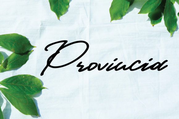 Provincia: A Handwritten Font That Breathes Quiet Confidence