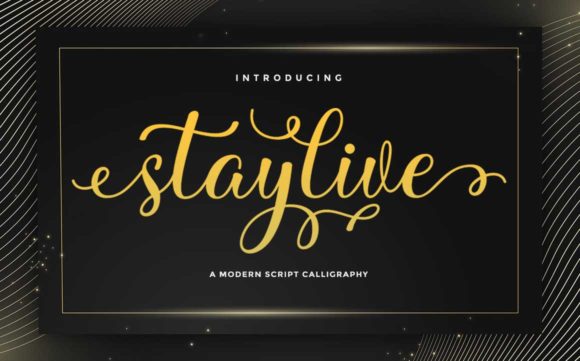 Stay Live: A Premium Script Font That Elevates Your Brand